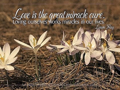 Love Is The Great Miracle Cure (513-Hay)